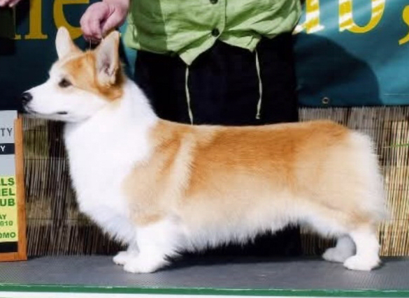 Image Broken