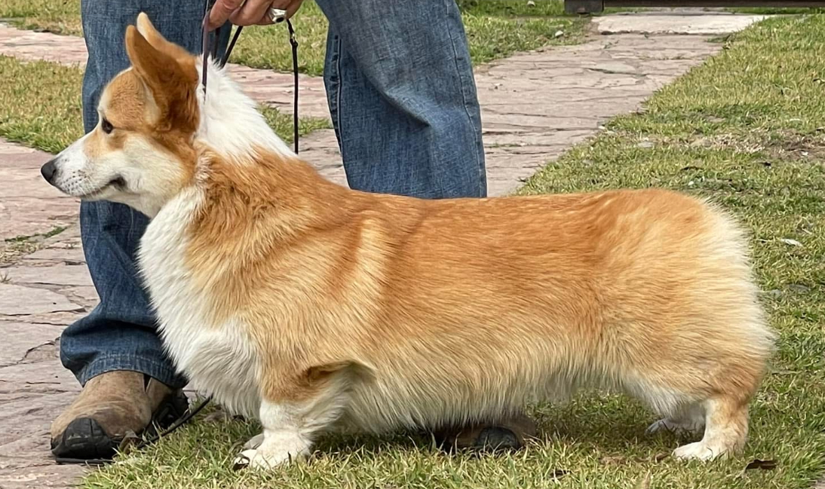 Kein Bild Vorhanden