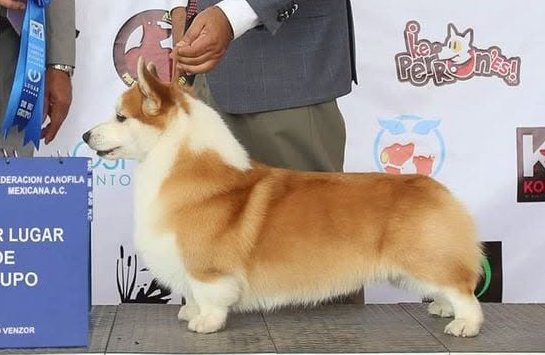 Image Broken