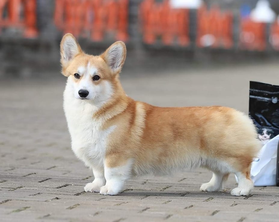 Kein Bild Vorhanden