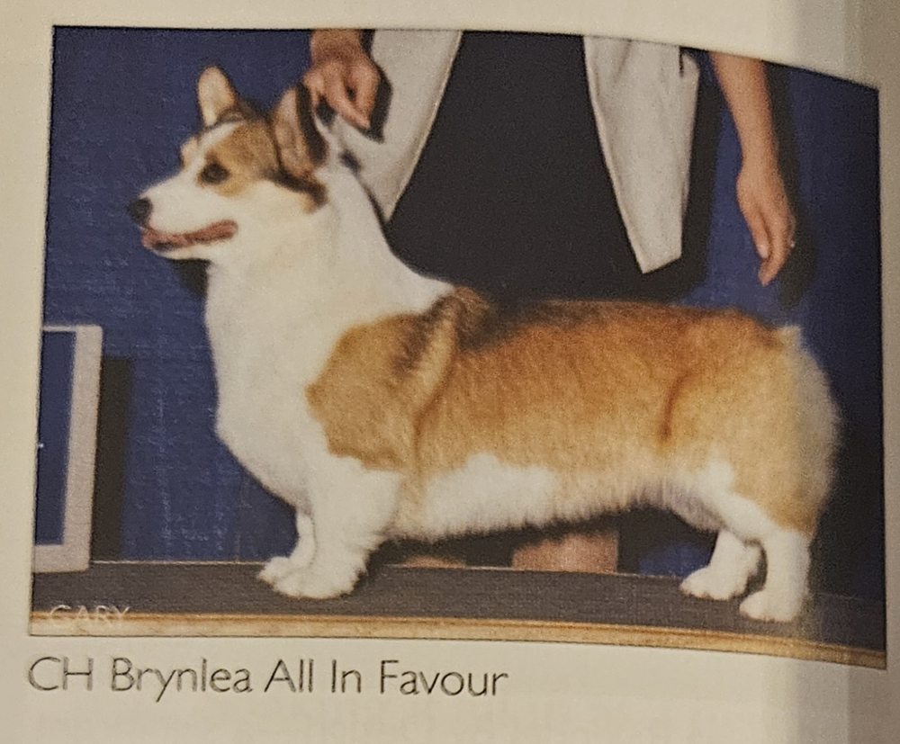 Image Broken