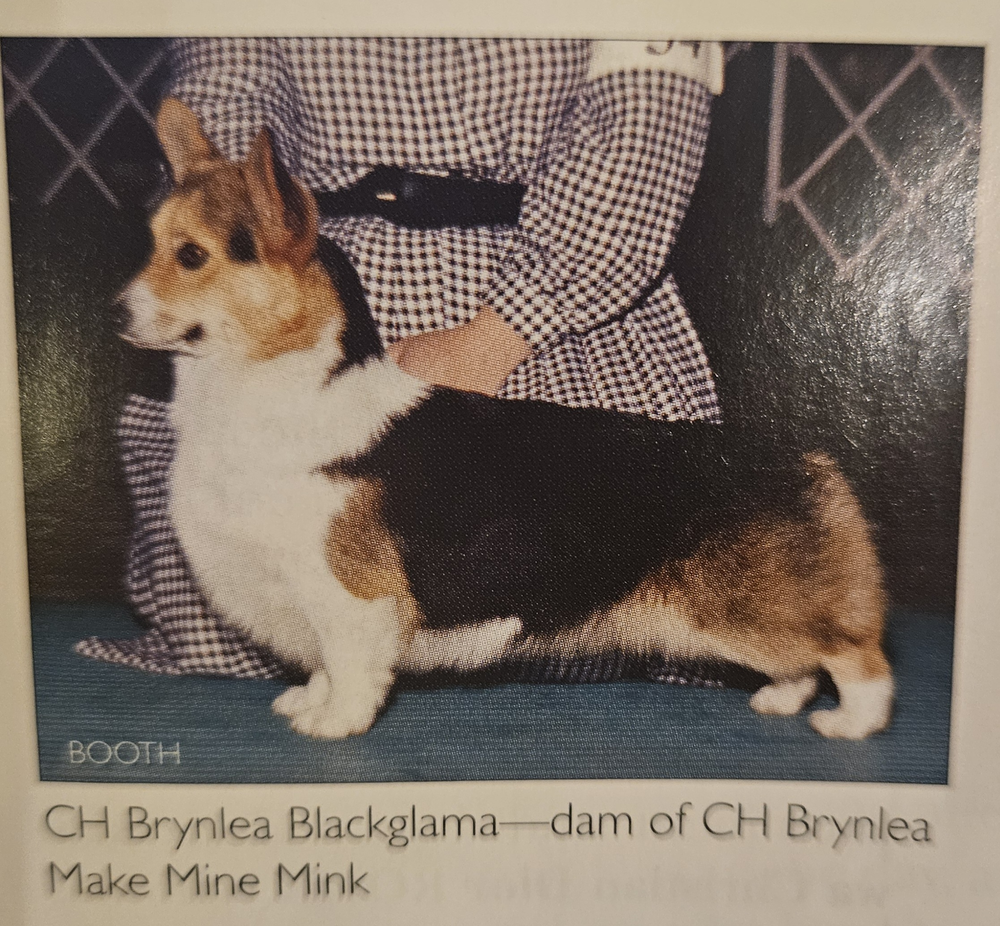 Image Broken