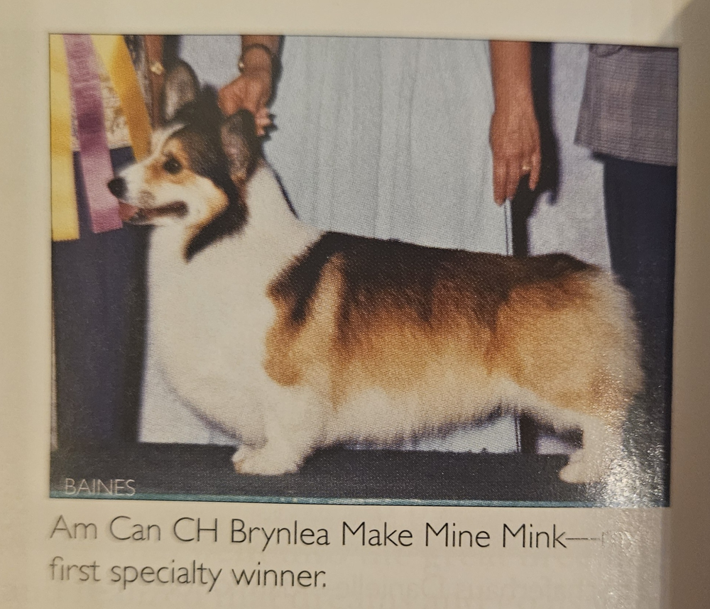 Image Broken