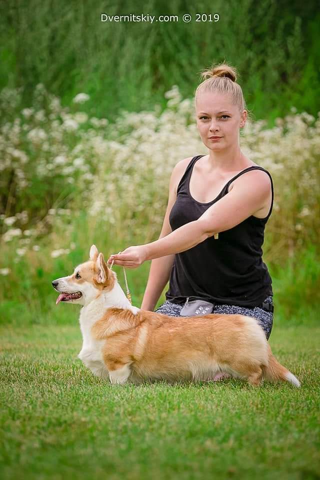 Kein Bild Vorhanden