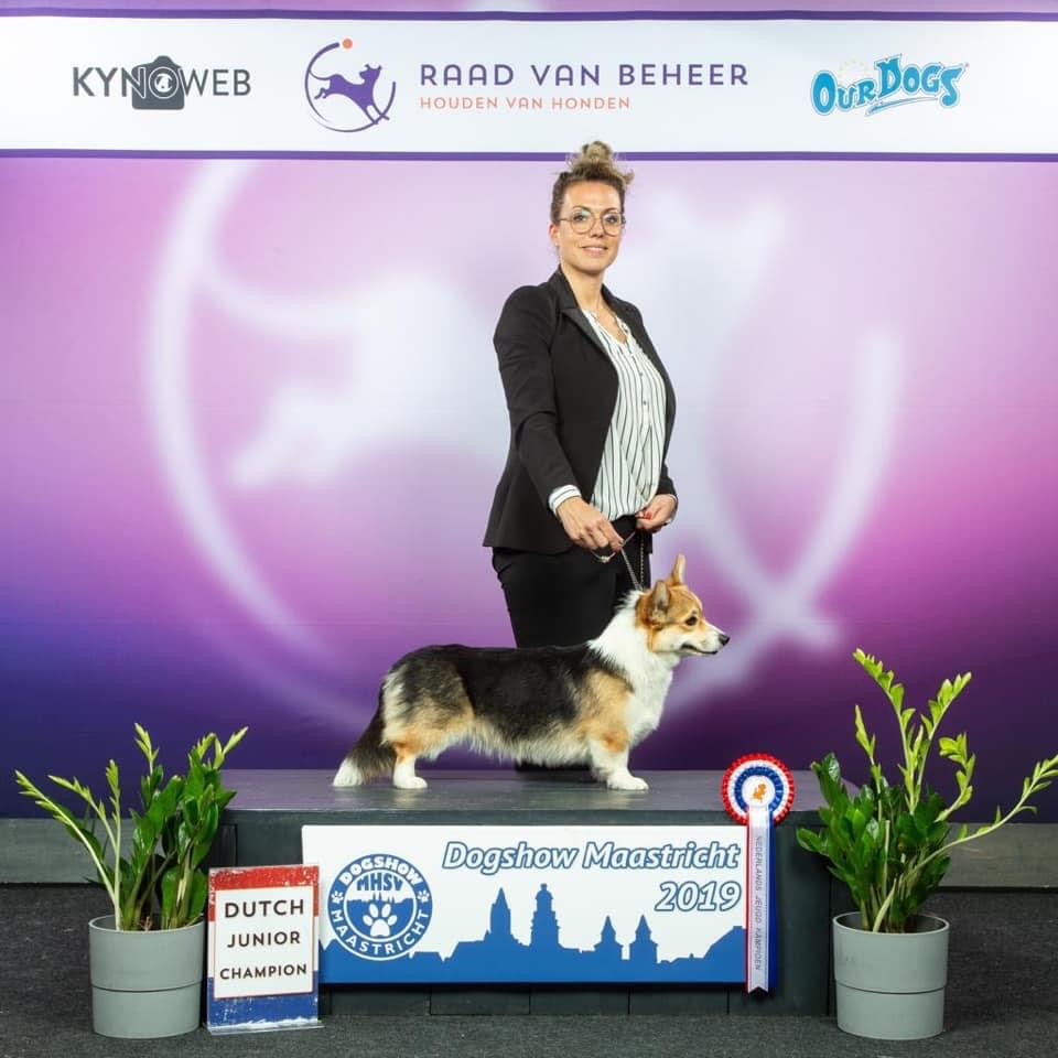 Kein Bild Vorhanden