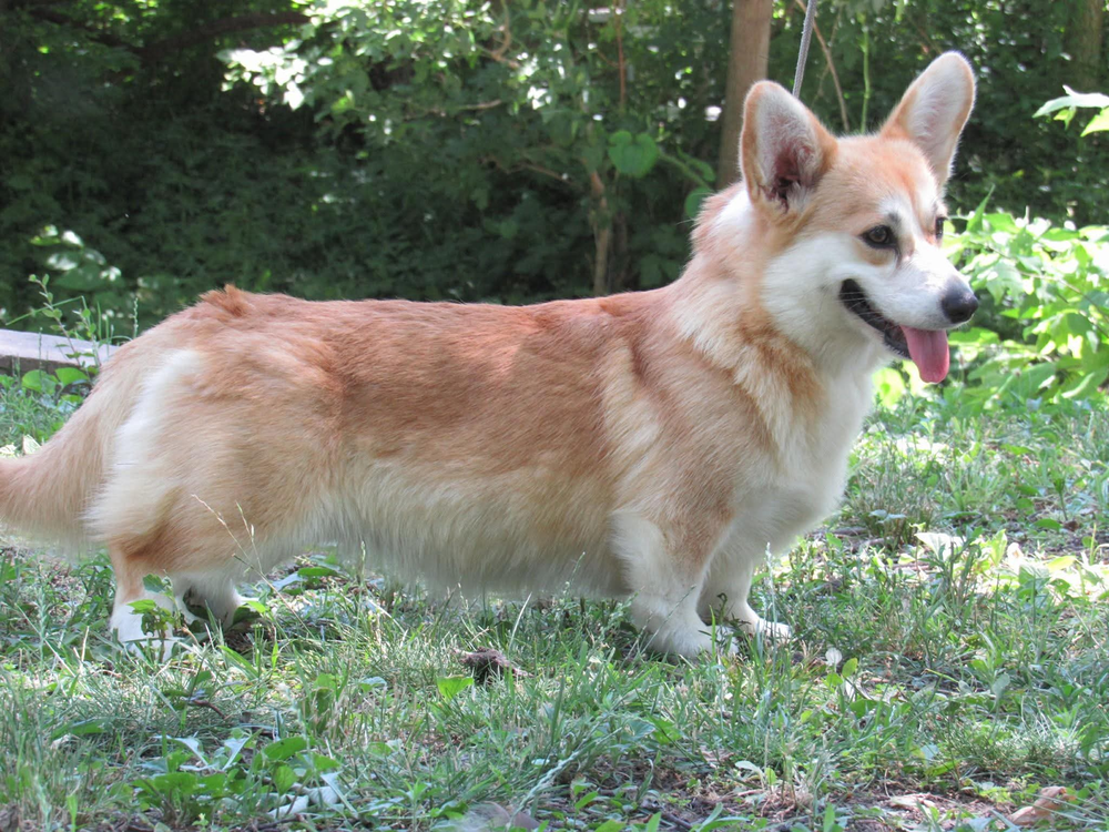 Image Broken