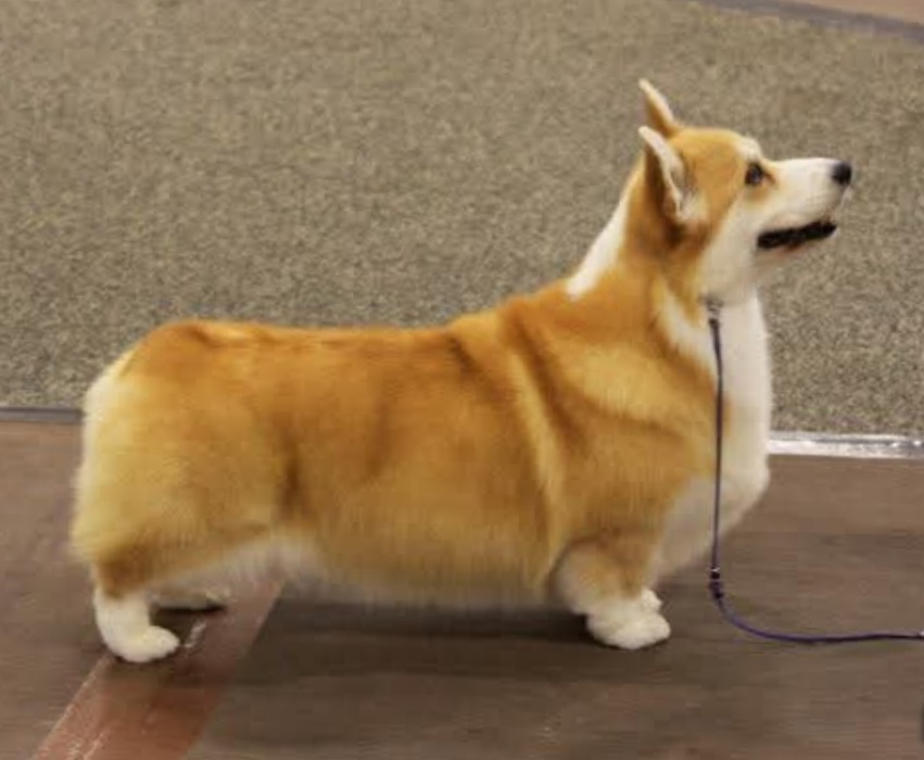 Image Broken