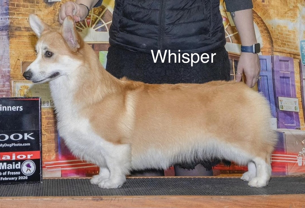 Kein Bild Vorhanden