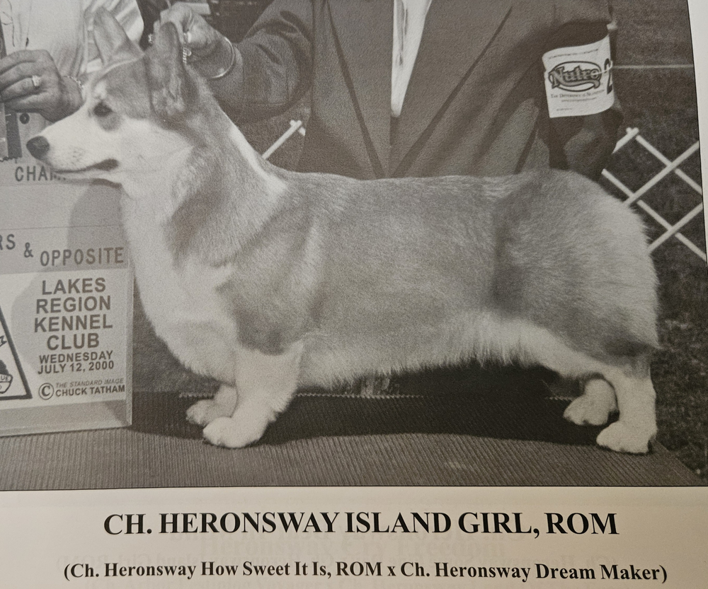Image Broken