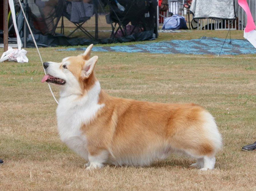 Image Broken