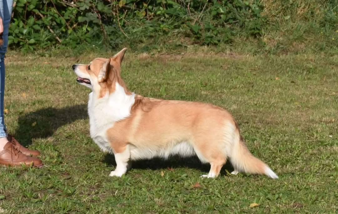 Kein Bild Vorhanden