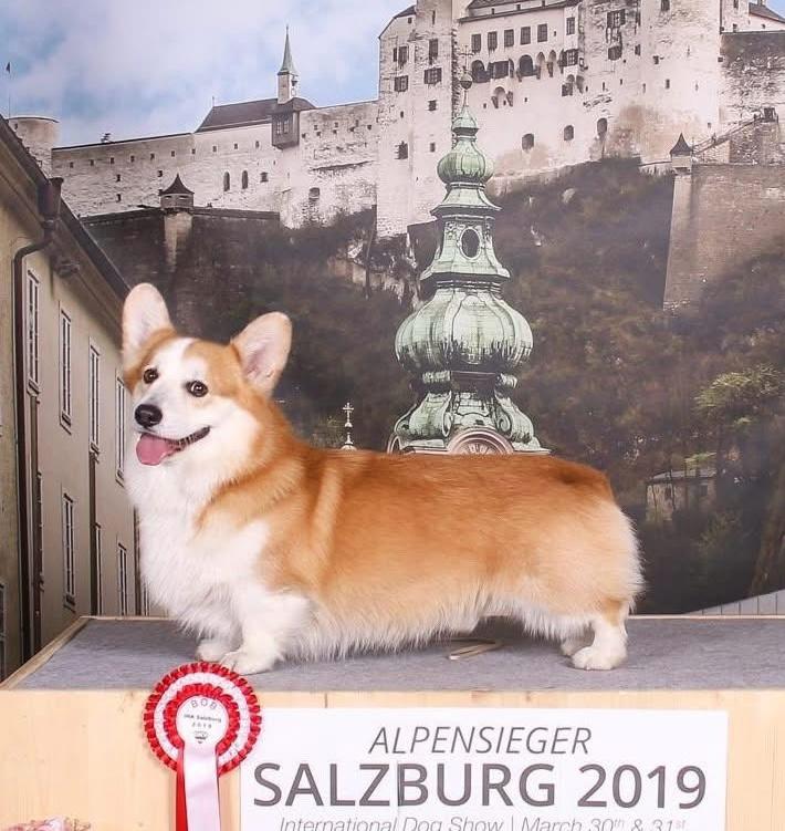Kein Bild Vorhanden