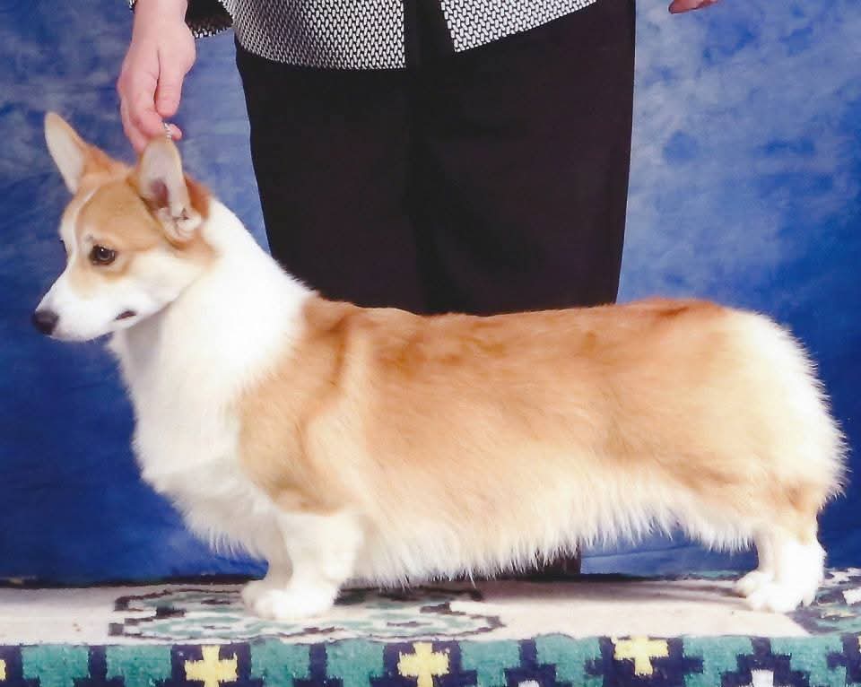 Image Broken