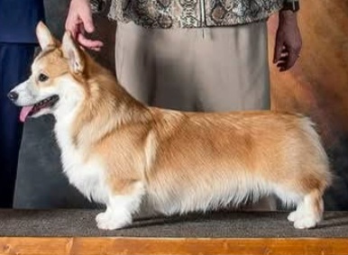 Image Broken