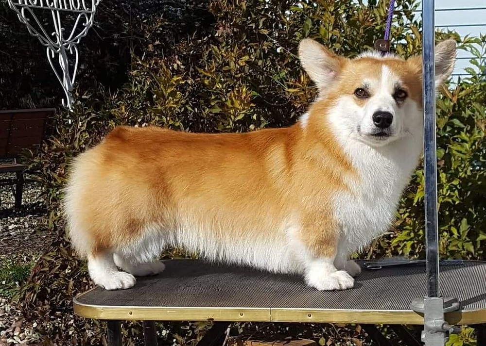 Image Broken