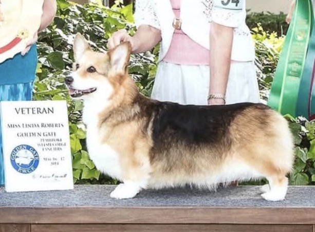 Image Broken
