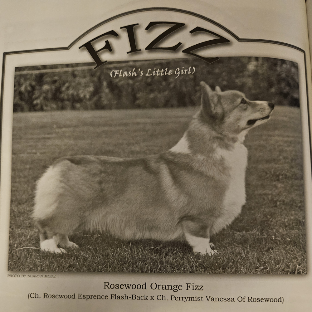 Image Broken
