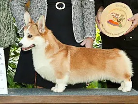 Kein Bild Vorhanden