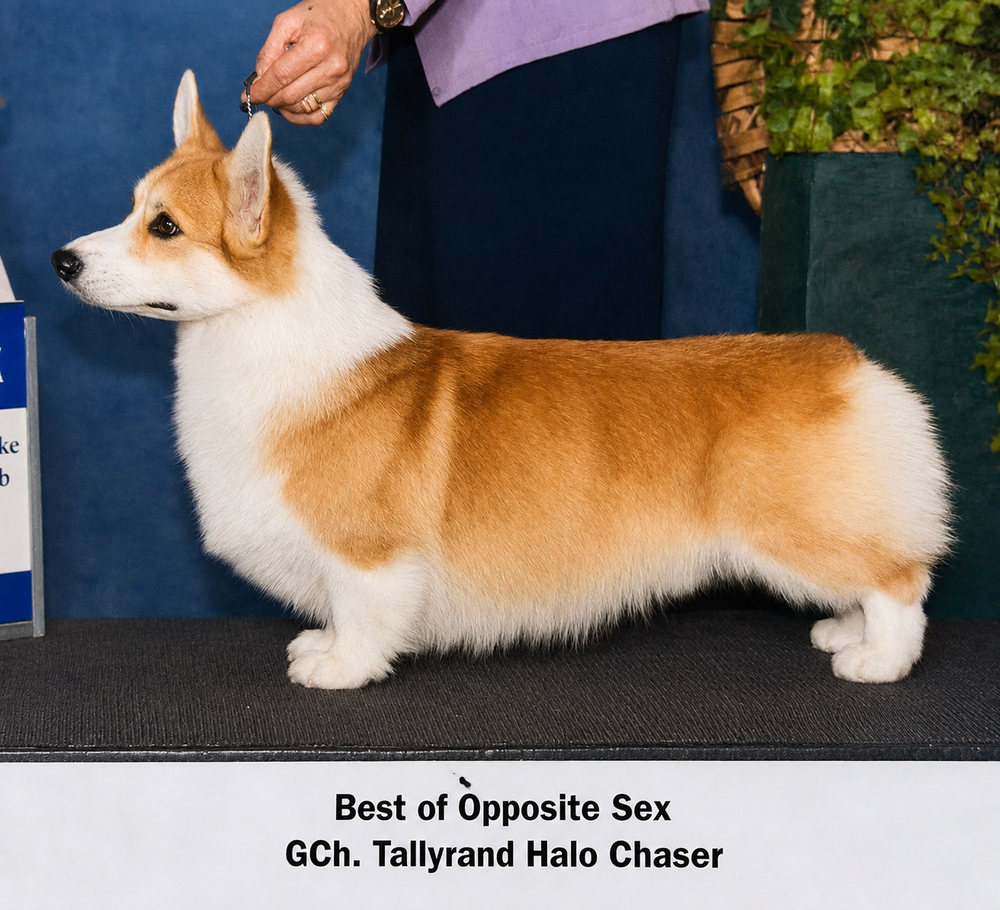 Image Broken