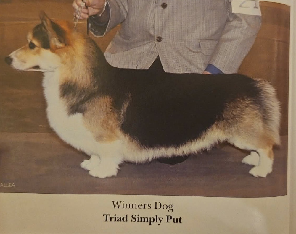 Image Broken