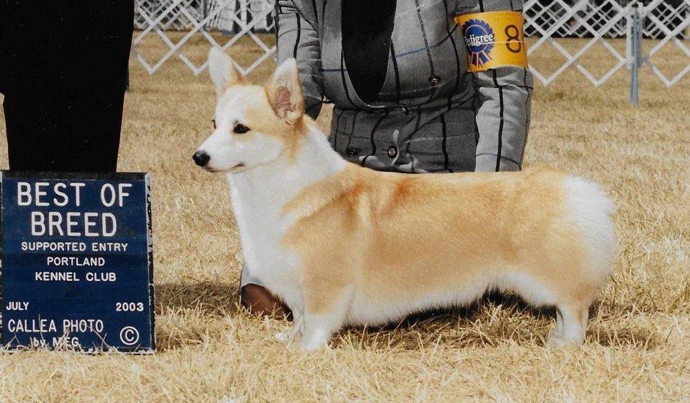 Kein Bild Vorhanden