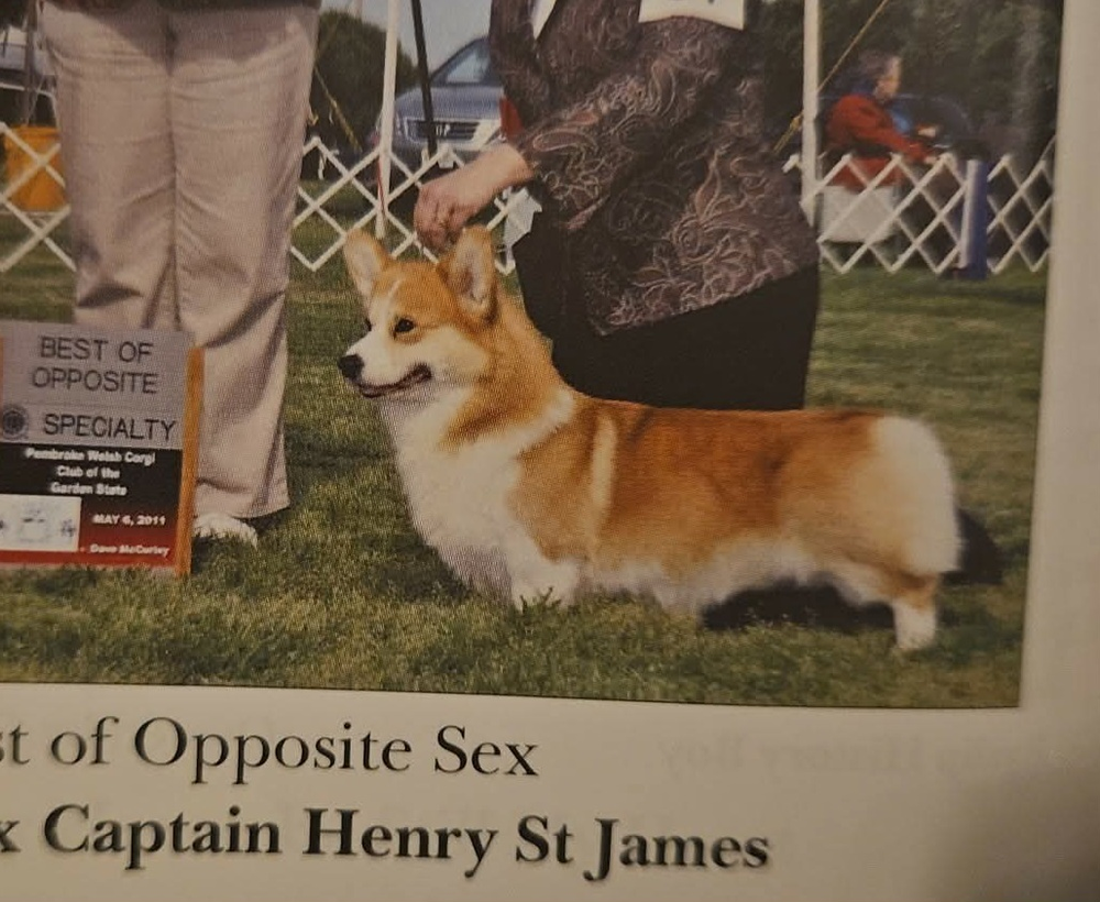 Image Broken