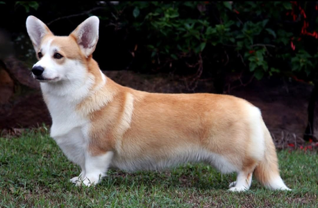 Aberlee Give And Take