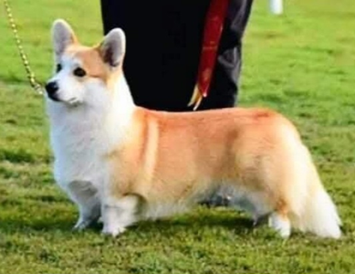 Aberlee Pushing The Limits