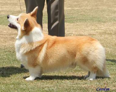 Aberlee Take It To The Limit