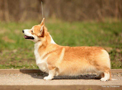 Image Broken