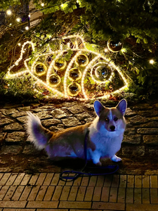 Alastor Mad-Eye Moody vom Weinbergschlösschen