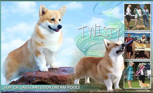 Antudor Dream Police