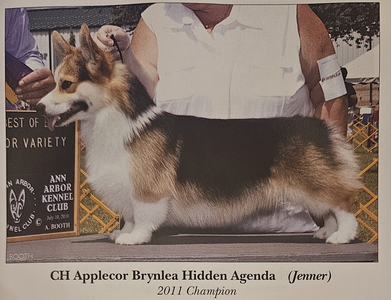 Applecor Brynlea Hidden Agenda