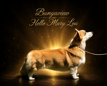 BUNYAVIEW HELLO MARY LOU