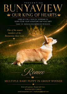 BUNYAVIEW OUR KING OF HEARTS