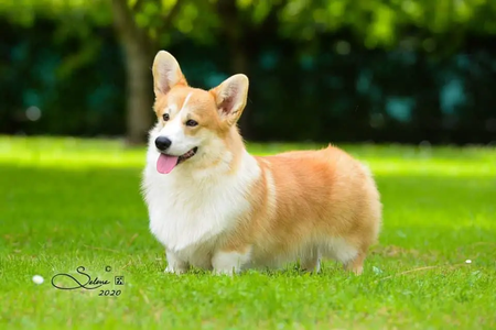 Image Broken