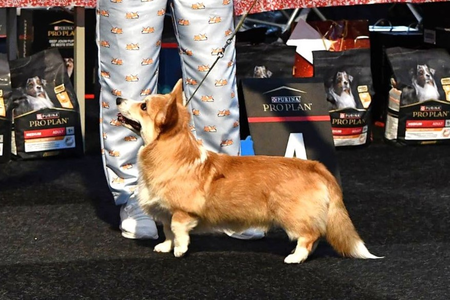 Born To Be Your Circle Of Life