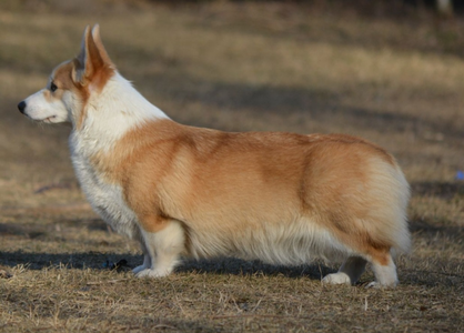 Born To Be Your Life Is Your Message