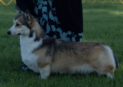 Brnayr Coloring Outside The Lines