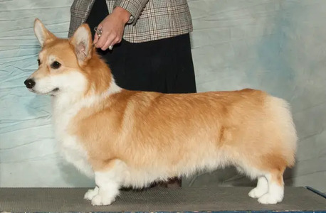 Image Broken