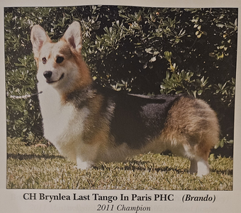 Brynlea Last Tango In Paris