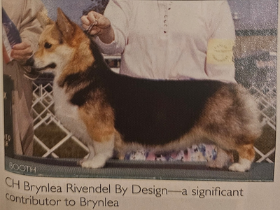 Brynlea's Rivendel By Design