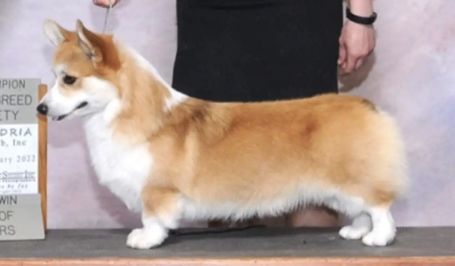 Image Broken