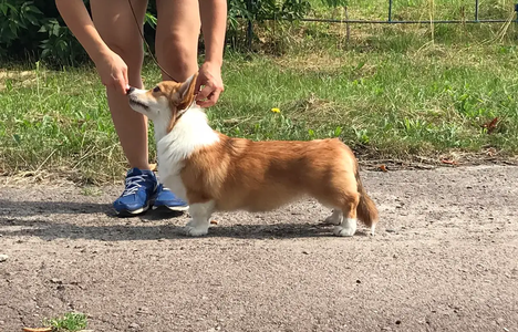 Cindy Lou Vilibodreams