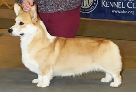 Image Broken
