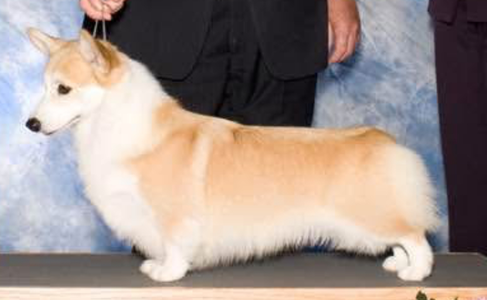 Coventry Allure At Wyndstar