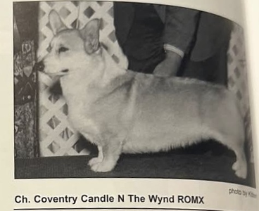 Coventry Candle N The Wynd