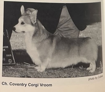 Coventry Corgi Vroom
