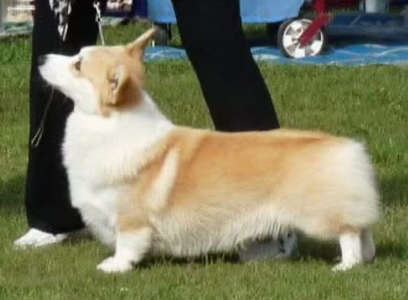 Image Broken