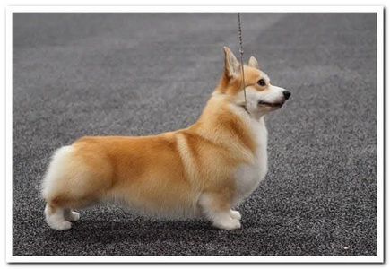 Coventry Good Vibrations